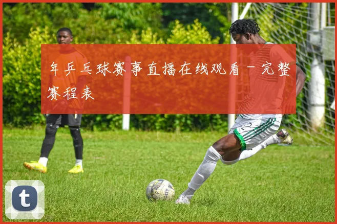 年乒乓球赛事直播在线观看 - 完整赛程表