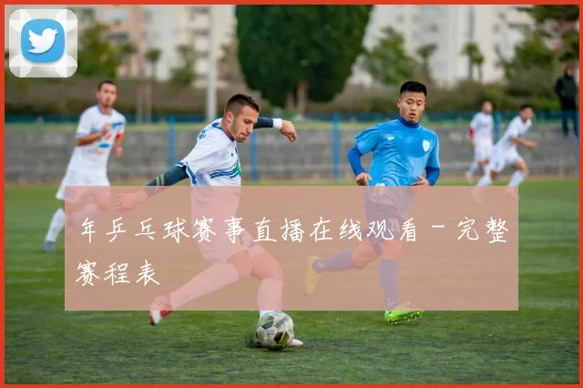 年乒乓球赛事直播在线观看 - 完整赛程表